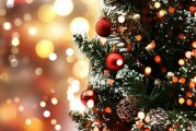 County residents have many options for recycling unadorned Christmas trees