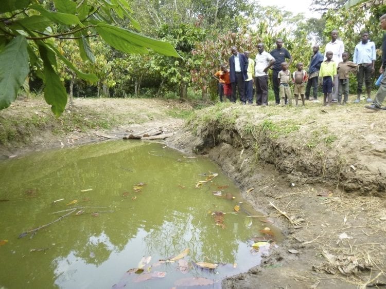 Steve Stubits, a board member from the local nonprofit Ourganda, said that providing clean water is a key to helping improve the lives of Ugandans. This pond is the main source of water for one of the villages in which Ourganda has established a presence. Photo courtesy of Ron Gladden