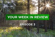 Your Week in Review - Episode 3