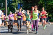 Humane Society events raise money to help animals