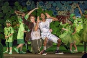 ‘Honk Jr.’ flies onto local stage