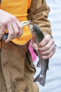 A volunteer wearing an orange vest helps a young angler after this fish was caught Saturday morning at the Klineline Kids Fishing Derby. Photo by Mike Schultz