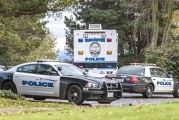 Arrests made after boy, 13, robbed at gunpoint while selling video game