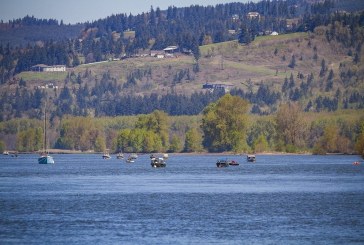 Washington's salmon fishing seasons set for 2018