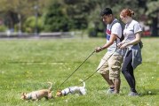 Sunny weather brings people out of hibernation