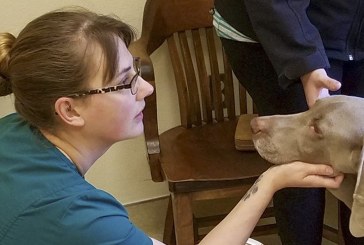 Making a difference: Vancouver vet tech brings love for animals home with her