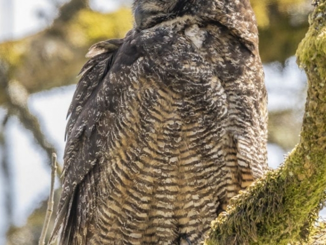 Clark-County-Today-IMG_1235