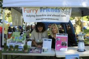 Furry Friends: ‘Recycled cats are priceless’