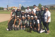State softball: Woodland rules Washington