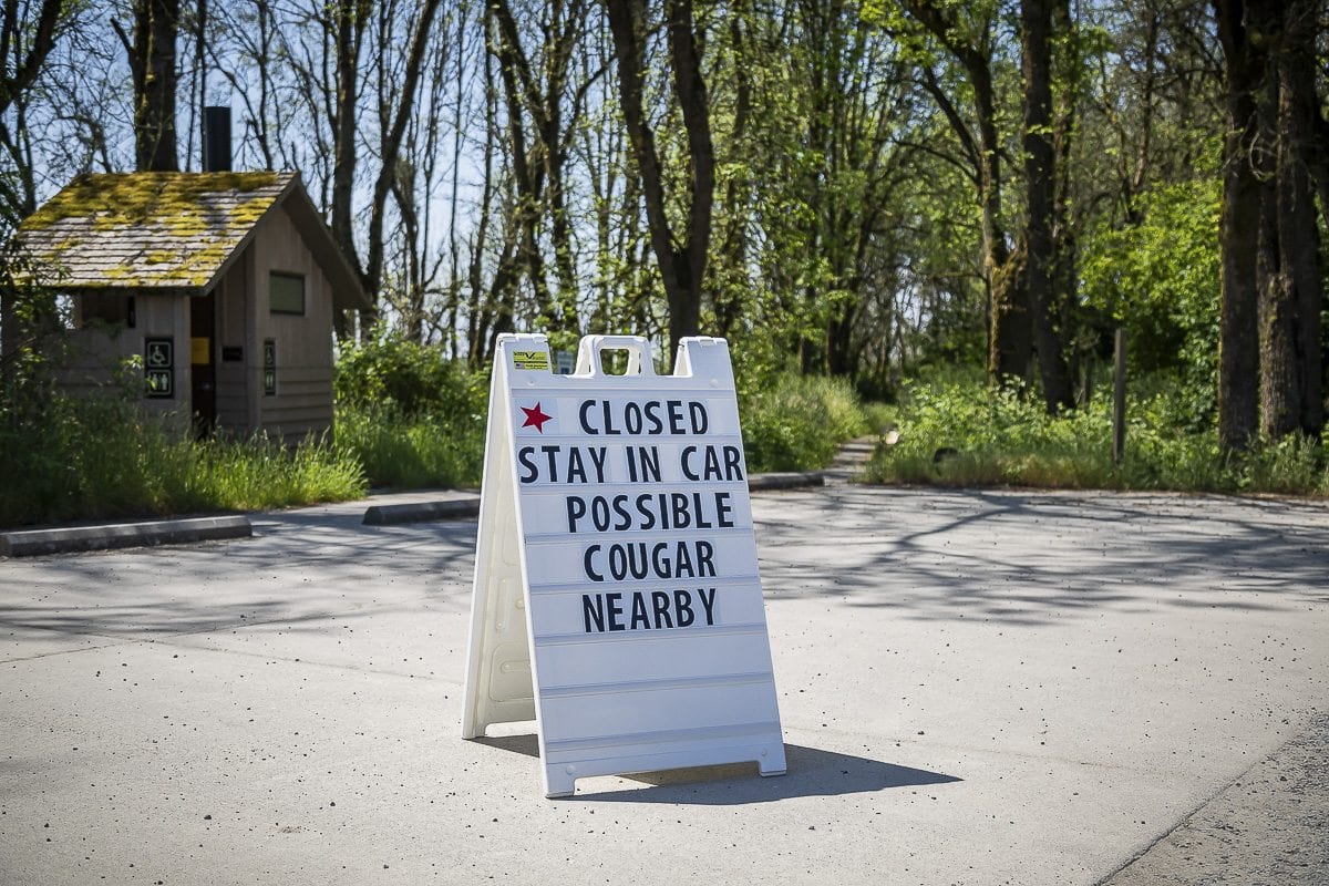 Reported cougar sightings lead to precautions at Ridgefield National Wildlife Refuge