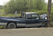 Sheriff’s Office: Speeding, intoxicated driver wasn’t wearing seat belt before striking tree