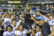 Eight team champions highlight high school sports year