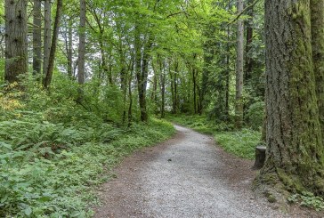 Whipple Creek Park project up for national prize