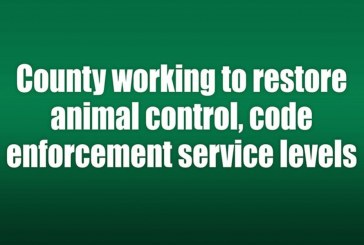 County working to restore animal control, code enforcement service levels