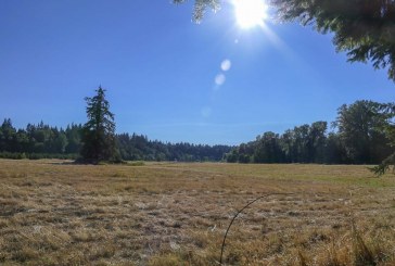 County moves ahead with plans to begin development on new regional park