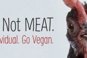 PETA to erect billboard where chicken truck overturned