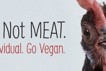 PETA to erect billboard where chicken truck overturned