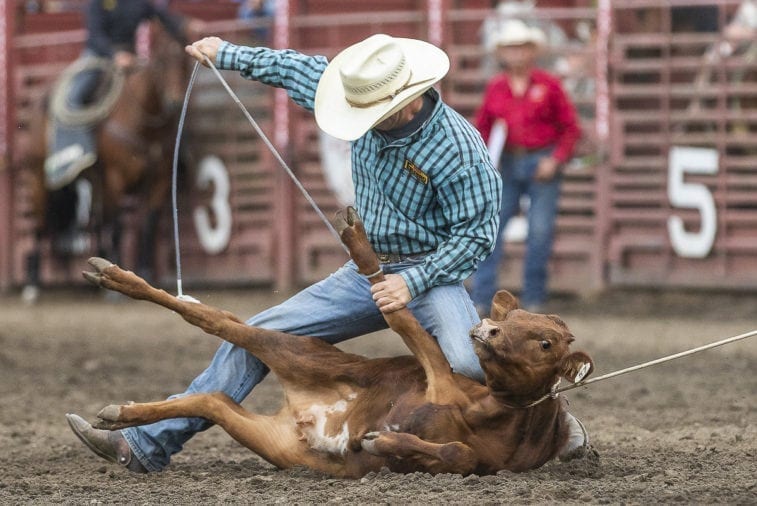 Clark-County-Today-Vancouver-Rodeo–04