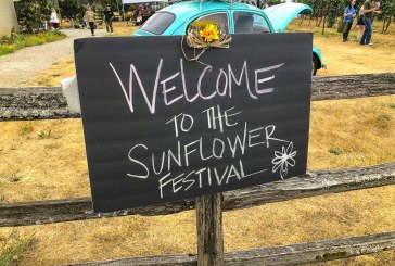 Sunflower Festival at Heisen House Vineyards