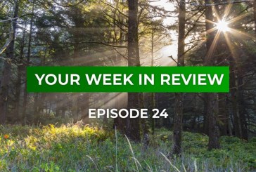 Your Week in Review - Episode 24 • August 24, 2018