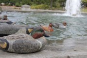 Columbia Flyway Wildlife Show returns to Water Center