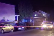 Clark County Deputy fires shot during Hazel Dell arrest