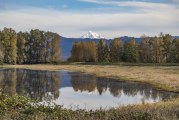 Our Eastern Outdoors: Steigerwald Wildlife Refuge