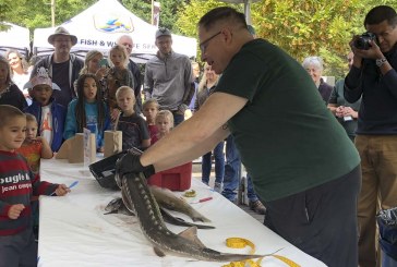 Annual Sturgeon Festival provides a day of fun for kids