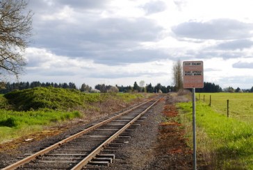 County council presses pause on Chelatchie Prairie rail line development