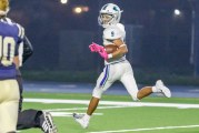 Mountain View season ends with loss in state semifinals