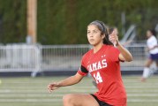 State soccer: Four local teams in Final Four