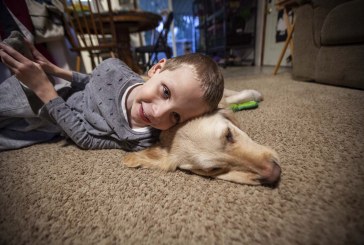 A boy and his buddy: Guide dog companions