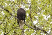 2019 parking passes for four county regional parks go on sale this week