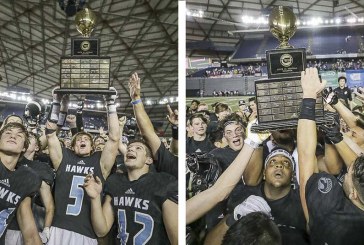 Year in Review: Union, Hockinson combine for historic day