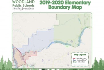 Woodland approves boundary plan for reconfigured elementary schools