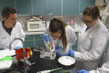 CASEE Program hosts ‘Science Night’ for prospective Battle Ground students
