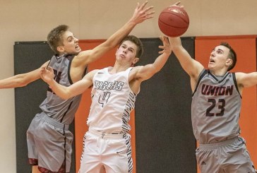 State basketball brackets released