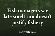 Fish managers say late smelt run doesn’t justify fishery