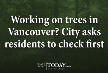 Working on trees in Vancouver? City asks residents to check first