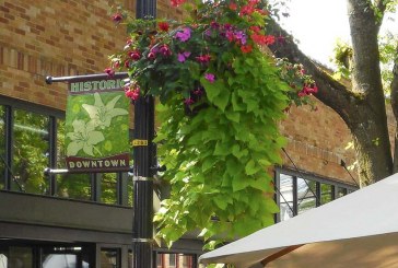 Adopt a flower basket and add color and charm to downtown Camas