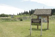 Public invited to review, discuss draft updates to 78th Street Heritage Farm Plan