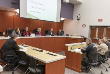 County Council discusses marijuana moratorium once again