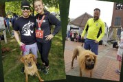 Woof Meow Party: Community fun benefits shelter dogs and cats