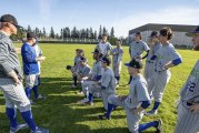 Baseball notes: Mountain View still together, still perfect