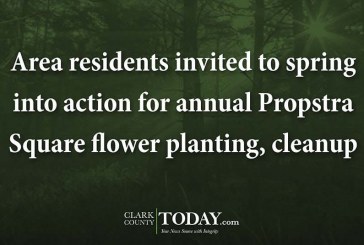 Area residents invited to spring into action for annual Propstra Square flower planting, cleanup