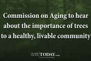 Commission on Aging to hear about the importance of trees to a healthy, livable community
