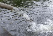Fishing opportunities plentiful in May