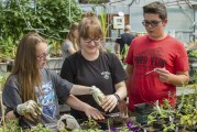 Woodland Middle School horticulture students learn how to research plants