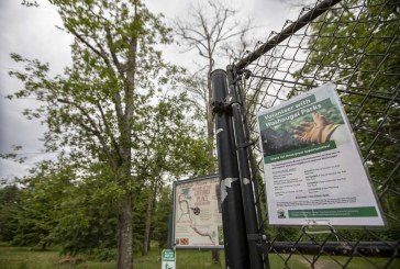 Washougal asks for volunteers to maintain community parks