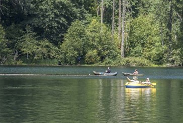 Healthy swimming is safe swimming